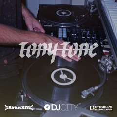 Pitbull Mix Contest - DJ TonyTone