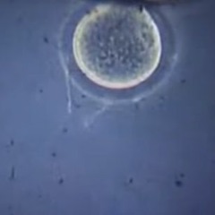 서로 플레이리스트