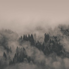 Something Special (By Forest Rain)