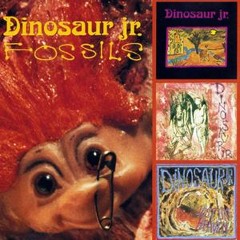 Dinosaur Jr. - Chunks