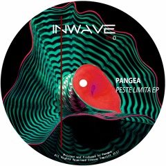 Pangea - Atentia Si Mintea (Original Mix)