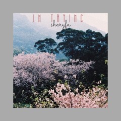 im trying (original song)