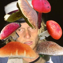 IRSK SVAMPEJAGT FT. STEN LARRIS