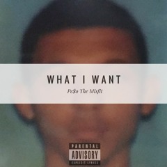 What I Want