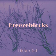 Breezeblocks - alt-J (cover by LittleNiceWolf)