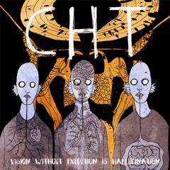 Vision Without Execution Is Hallucination