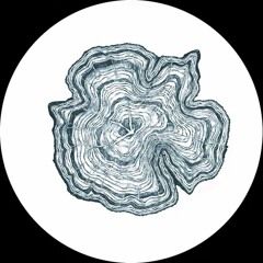 Hector Oaks - Holding On To Our Dignity [OAKS05] (unreleased)
