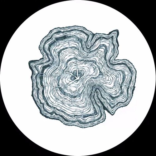 Hector Oaks - Holding On To Our Dignity [OAKS05] (unreleased)