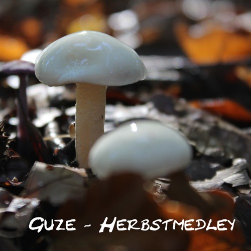 Herbstmedley (10_2017)