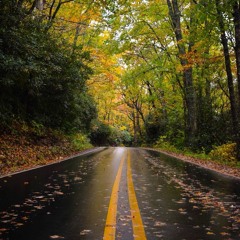 Leaves on the roads (electronic soundtrack ambient atmospheric piano)