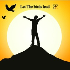 Benjamin Button - Let The Birds Lead