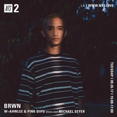 BRWN W - Ahwlee & Pink Siifu S1E4 ft Michael Seyer
