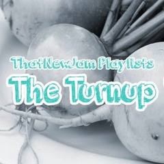 The Turnup: Vol. 12