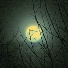 7CAL ~ Winter feat. Brando (Prod. Christopher Hernandez)