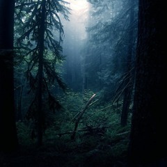 Darkmorning - No Distortion - 5 - 08 - 16