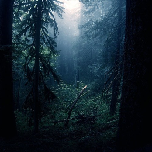 Darkmorning - No Distortion - 5 - 08 - 16