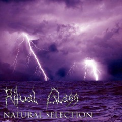 Natural Selection ∞ Ritual Glass - Storm Inside
