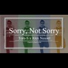 Sorry Not Sorry Demi Lovato Tom S Mp3