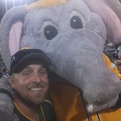 Decisions - Instrumental