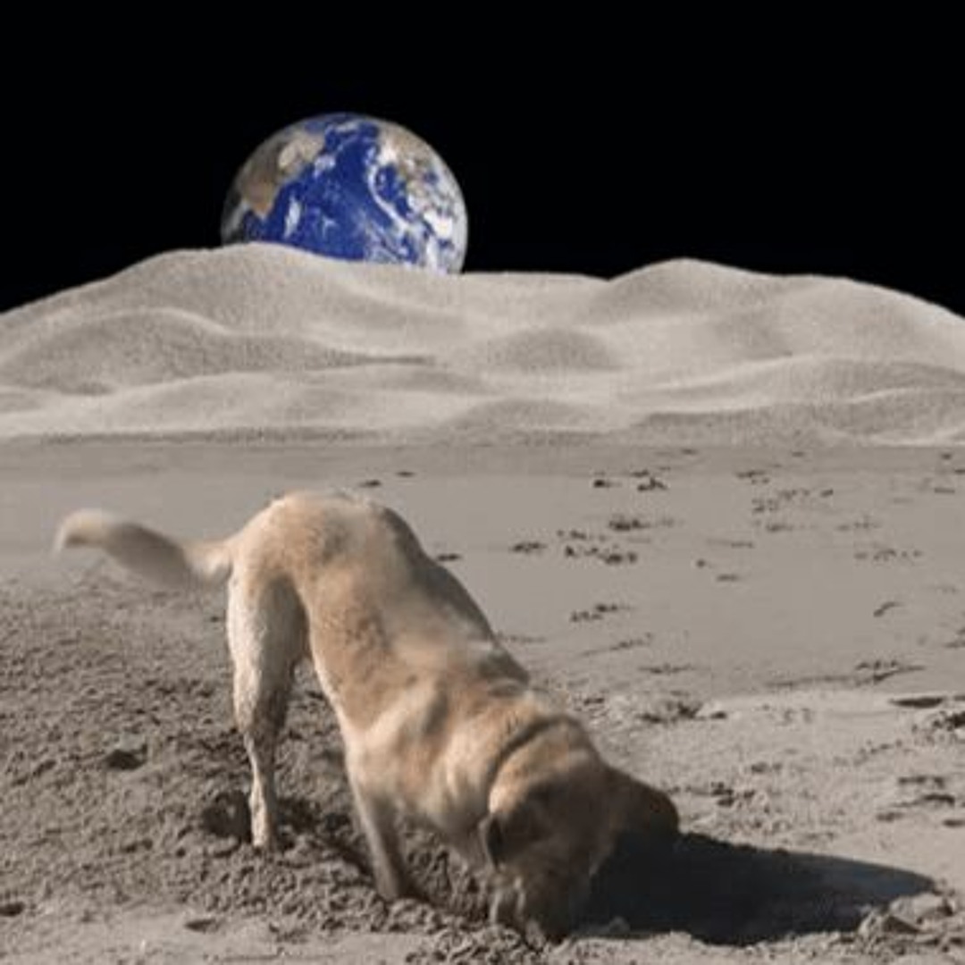 Stream Nagz - My Dog Lives On The Moon [2002] by nagz-chiptune 