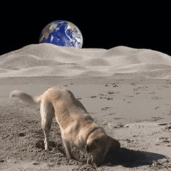Nagz - My Dog Lives On The Moon [2002]