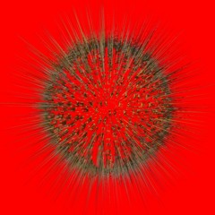 DJ'S From Harns new list