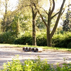 The Moan Of Perspiring Poplars [Cymru Roberts recitation]