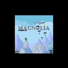 Stoneey Ez - Magnolia Freestyle