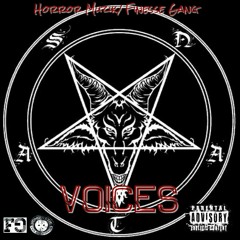 VOICES(Prod.X Mubz Beats & Contrary)