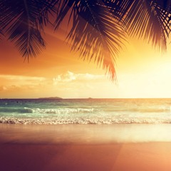 Tropical & Chill House