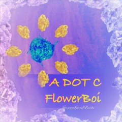 FLOWER BOI (Prod.by GrooveGodBeats)