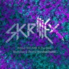 Skrillex & Poo Bear - Would You Ever (Branchez & Charlie Klarsfeld Remix)