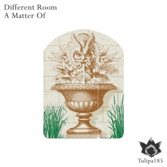 Different Room - Wide Horizons (Original Mix)