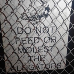 Never Sleep - Gopher