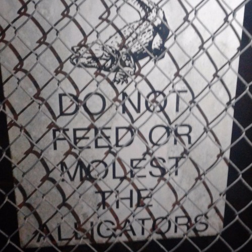 Never Sleep - Gopher