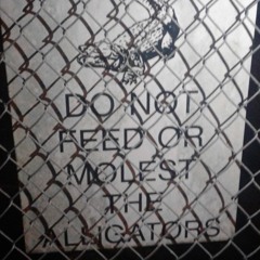 Time - Gopher (Unfinished)