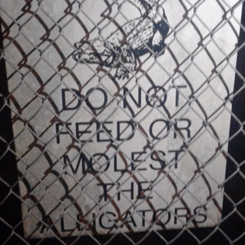 Time - Gopher (Unfinished)