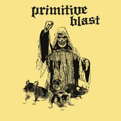 Primitive Blast - No Youth/No Use