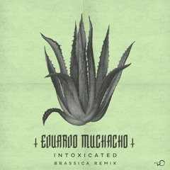 Eduardo Muchacho - Intoxicated (Brassica Remix)