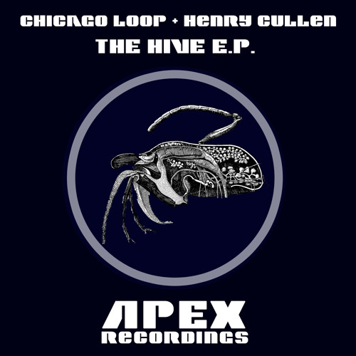 The Hive
