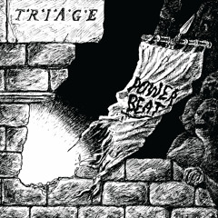 Traige - Secret War Mastered