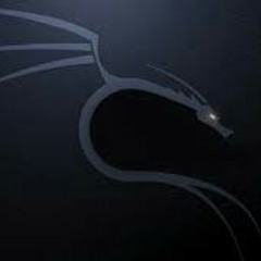 Shadow_fight_2_lynx.mp3