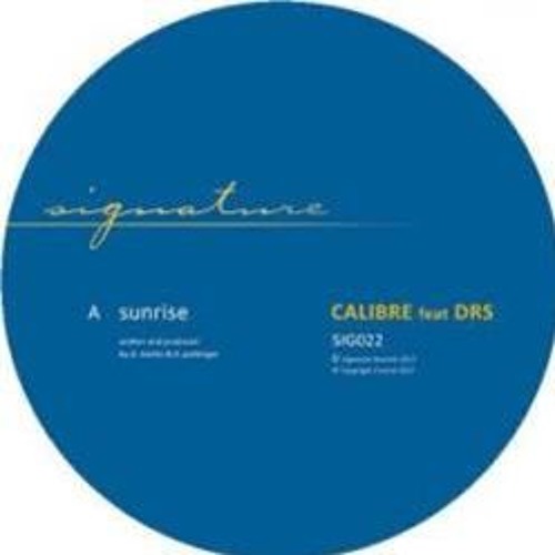 Calibre - Sunrise (feat. DRS)