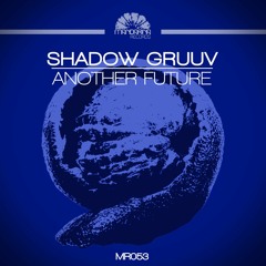 Shadow Gruuv - Its Yours (Original Mix)