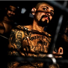 Lofi Hip Hop Radio 24/7 🎧 The pressure / DJ MOON Beats https://www.youtube.com/watch?v=j97wkmaHV8Q