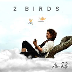 2 Birds