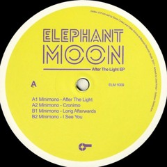 PREMIERE: Minimono - After The Light [ELEPHANT MOON]