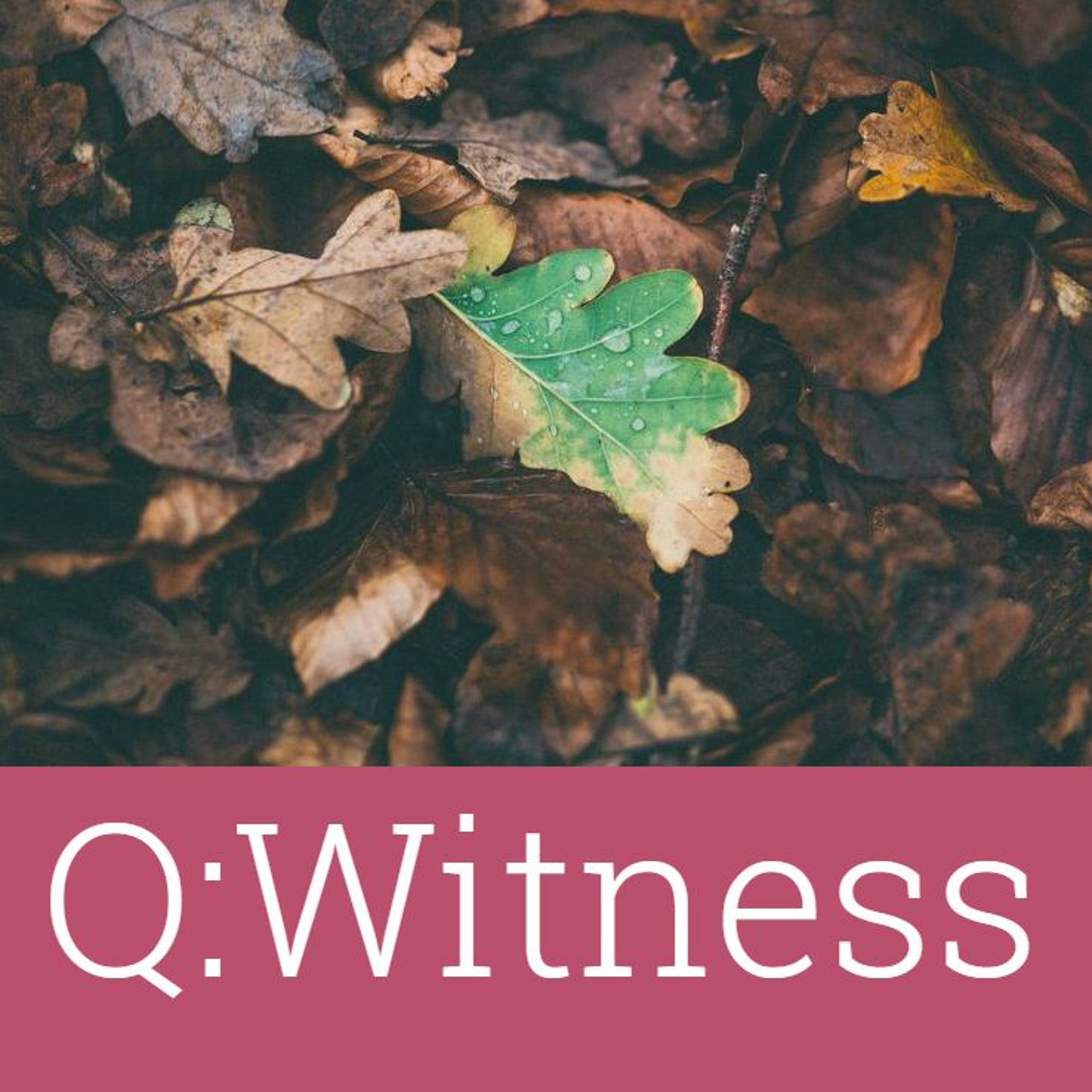 A Quaker Take