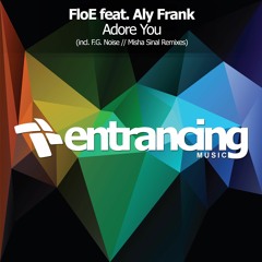 FloE Feat. Aly Frank - Adore You (F.G. Noise Dub Mix) @ Paul Van Dyk Vonyc Sessions 569