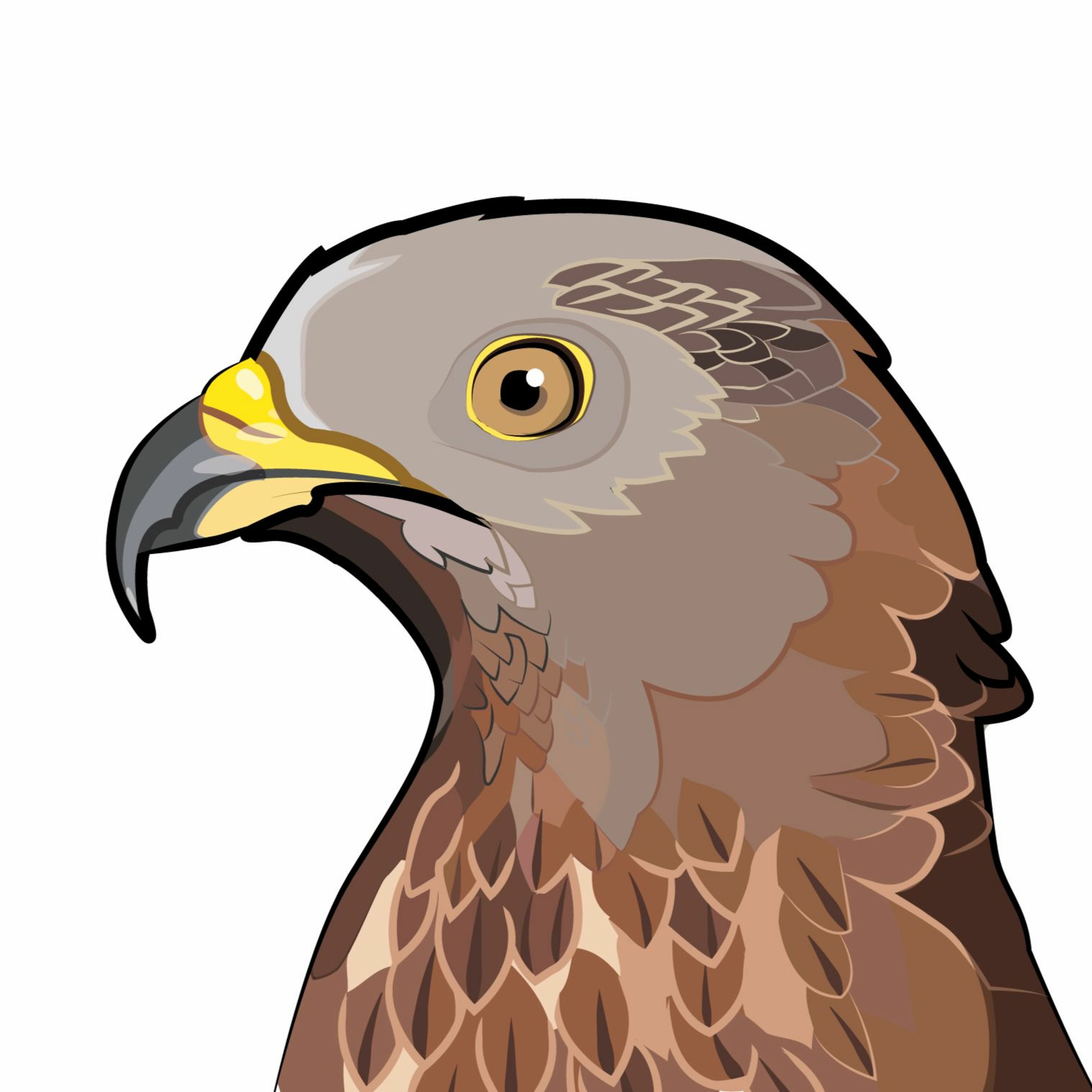 Pippipodden